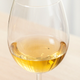 Illustration for article titled Fruit Fly Floating Lifelessly In Glass Of Wine A Somber Reminder Of The Perils Of Gluttony